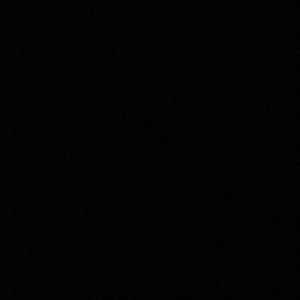 Meet your Posher, Haydn